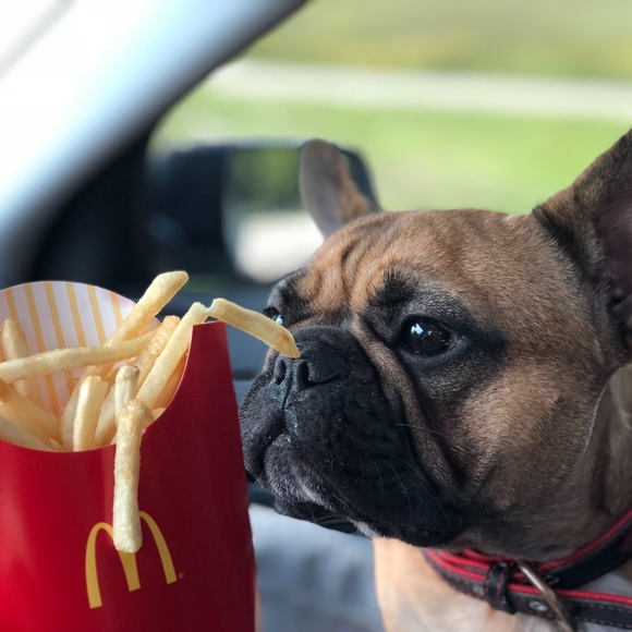 Meet your Posher, Tracy - Picture 3 of 15